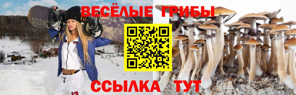 Псилоцибиновые грибы мицелий  Вход с VPN  Коммунар  Галлюциногенные грибы Magic Shrooms 