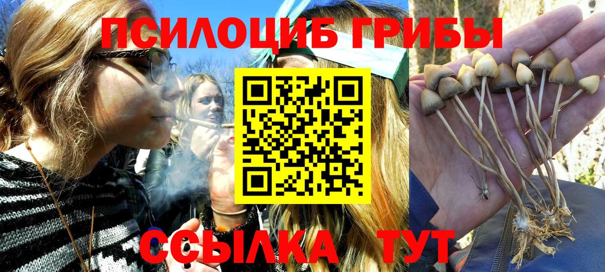 Псилоцибиновые грибы GOLDEN TEACHER Коммунар